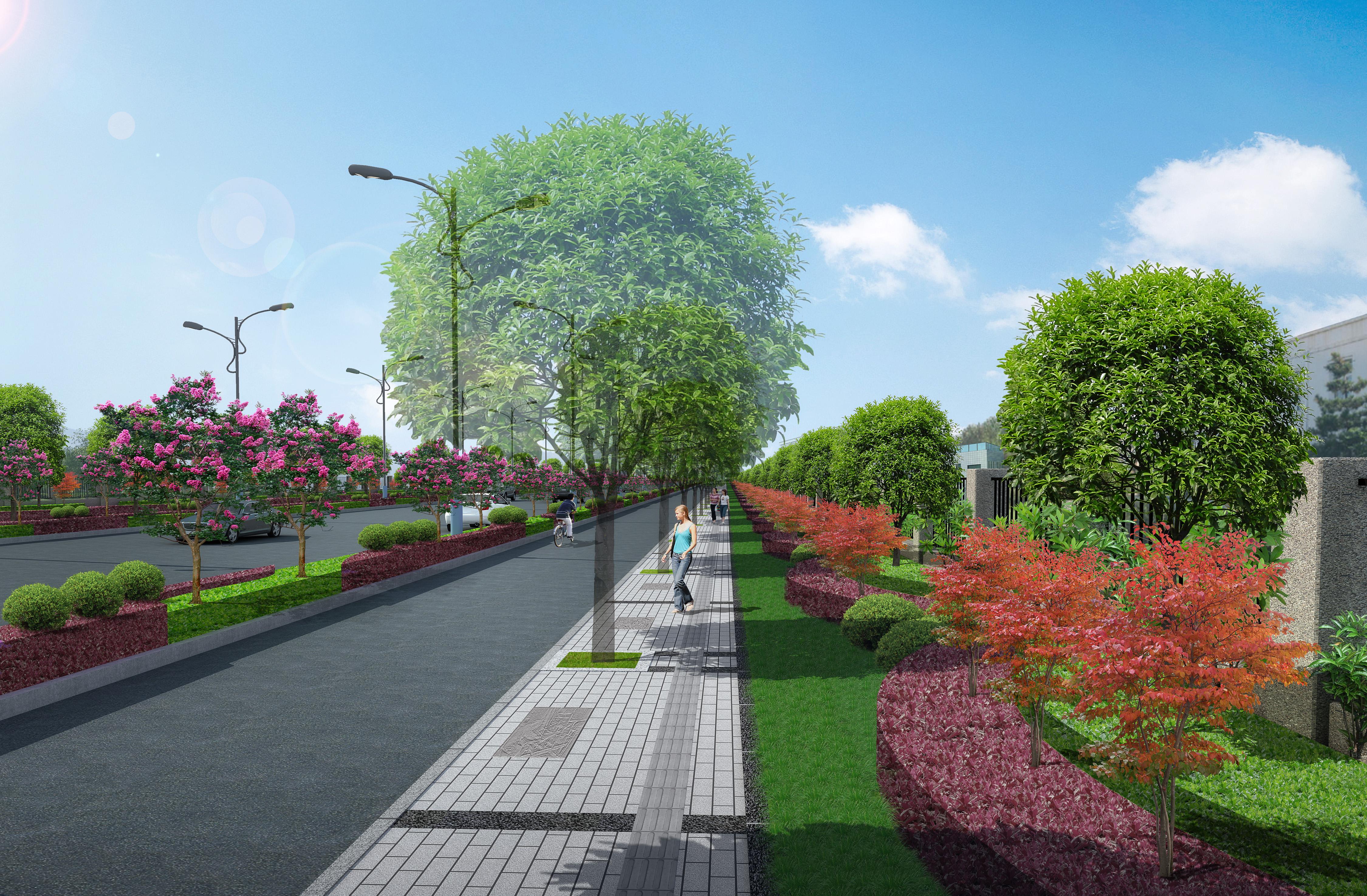 �ֽ���ĿЧ��ͼ