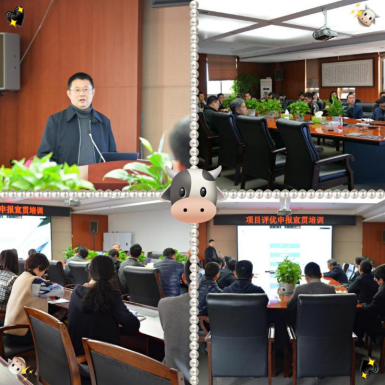 ǧ��qy88���ʹ������ѧԺ��֯��չ��Ŀ�����걨������ѵ