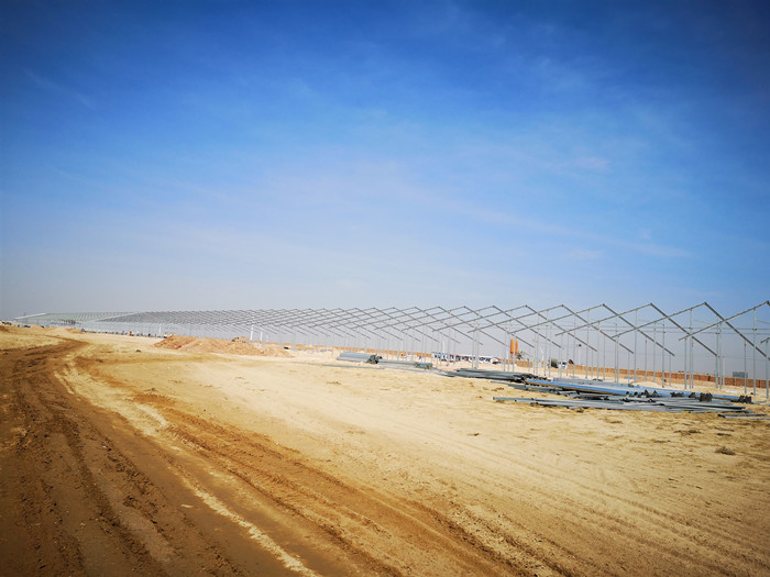 1554186564818611.jpg 1419341565.jpg